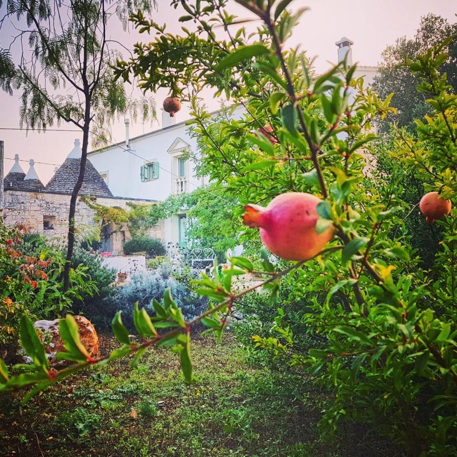 B&B Giovannarolla Green House 오스투니 외부 사진