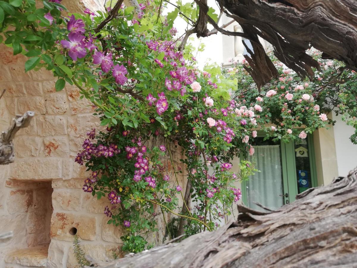 B&B Giovannarolla Green House 오스투니 외부 사진