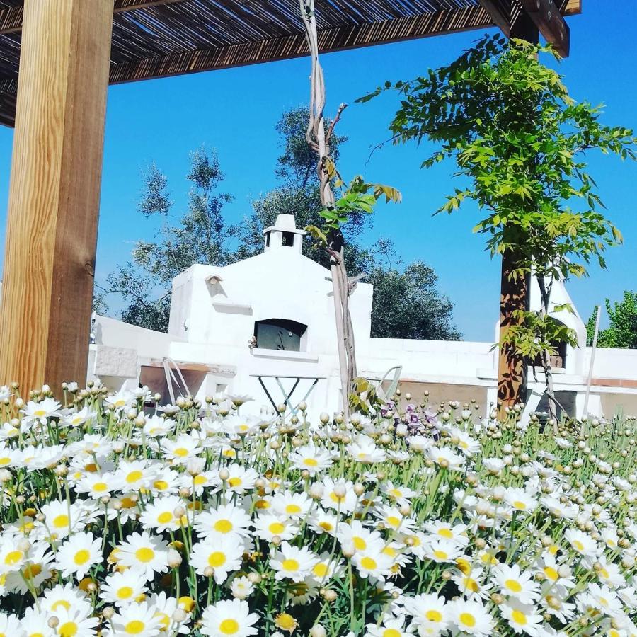 B&B Giovannarolla Green House 오스투니 외부 사진