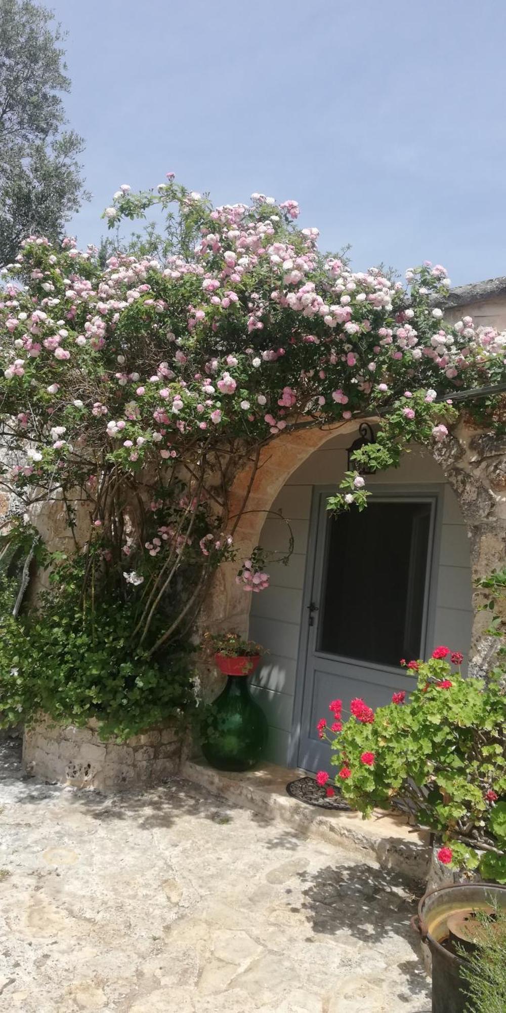 B&B Giovannarolla Green House 오스투니 외부 사진