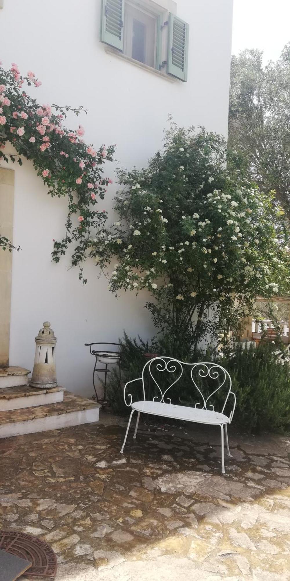 B&B Giovannarolla Green House 오스투니 외부 사진