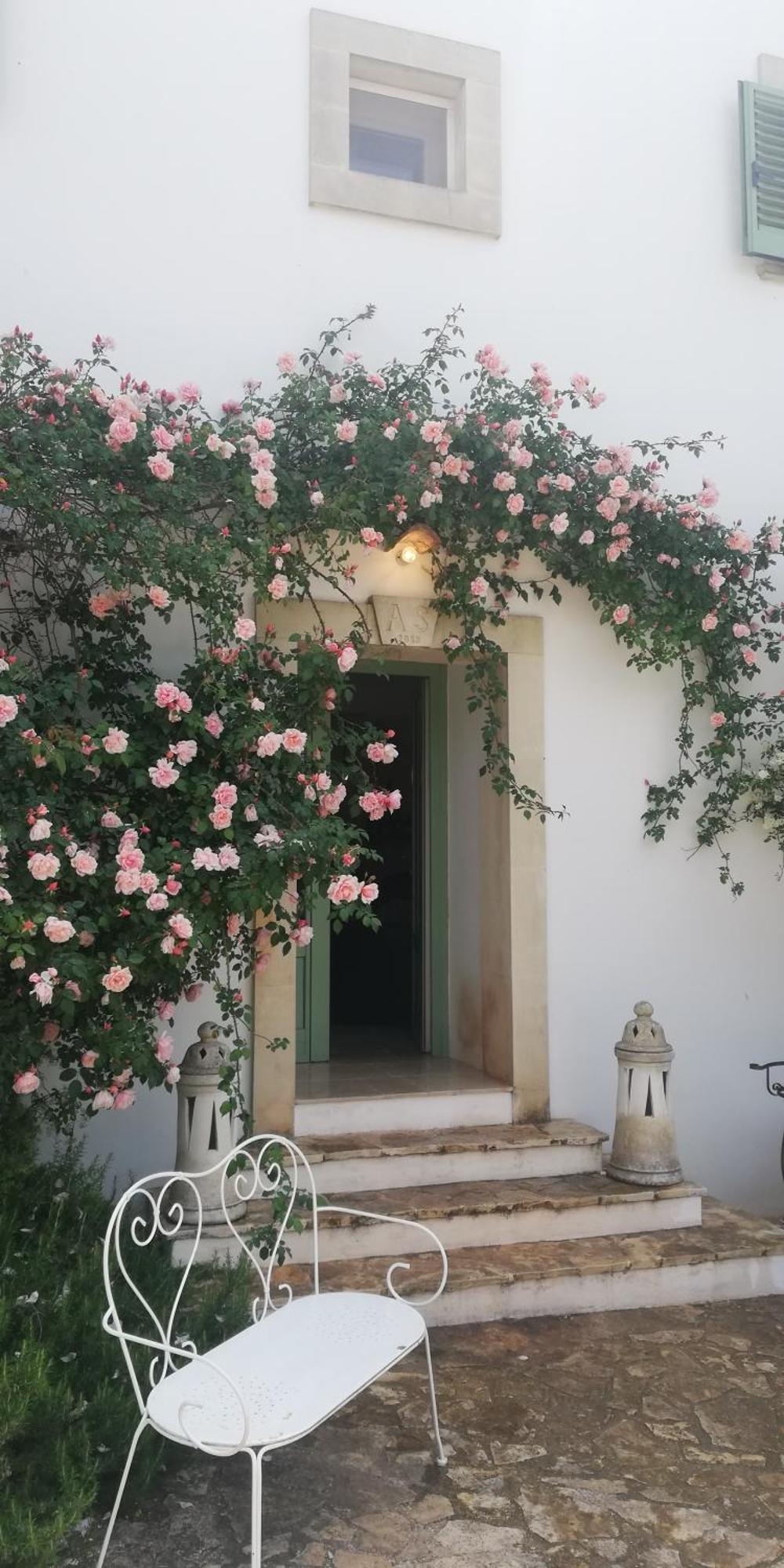 B&B Giovannarolla Green House 오스투니 외부 사진
