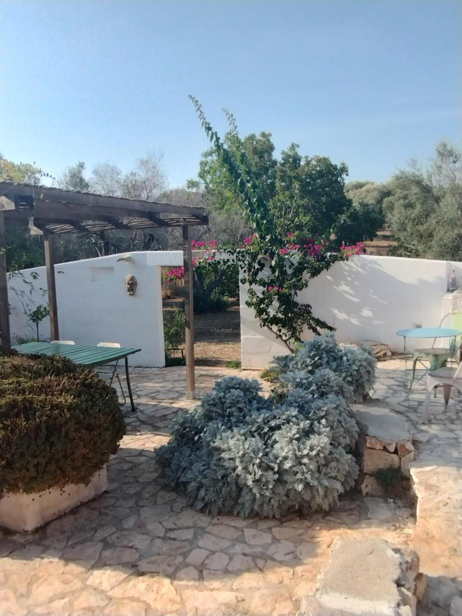 B&B Giovannarolla Green House 오스투니 외부 사진